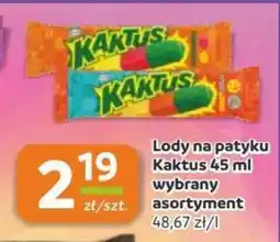 Gama Lody na patyku Kaktus oferta