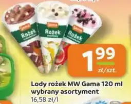 Gama Lody rożek MW Gama oferta