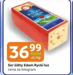 Gama Ser żółty Edam Rycki luz oferta
