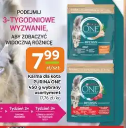 Gama Karma dla kota purina one oferta