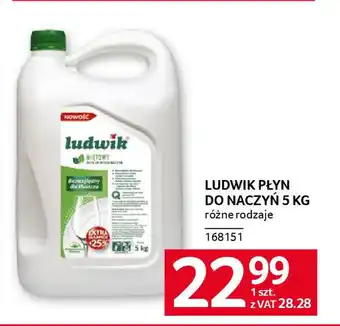 Selgros Ludwik płyn do naczyń oferta