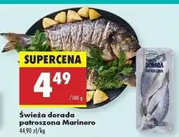 Biedronka Dorada patroszona świeża Marinero oferta