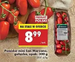 Biedronka Pomidory mini san marzano Biedronka oferta