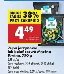Biedronka Zupa jarzynowa Mroźna Kraina oferta