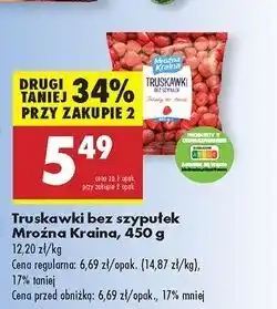 Biedronka Truskawki Mroźna Kraina oferta
