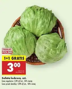 Biedronka Sałata lodowa oferta