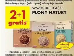 Biedronka Kasza kuskus izraelski Plony Natury oferta