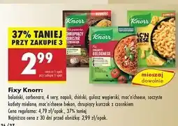 Biedronka Panierka chrupiący kurczak z czosnkiem Knorr Fix oferta