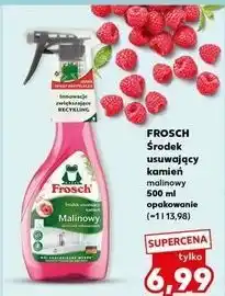 Kaufland Środek do usuwania kamienia malinowy Frosch oferta