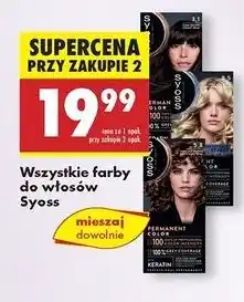 Biedronka Farba do włosów 5.8 Syoss Permanent oferta