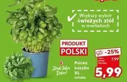 Kaufland Bazylia xl K-Classic Stąd Takie Dobre! oferta