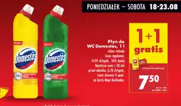 Biedronka Płyn do WC Domestos oferta