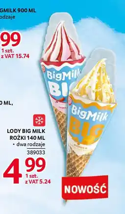 Selgros Lody big milk rożki oferta