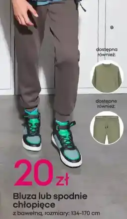 Pepco Spodnie chłopięce oferta