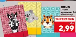 Kaufland Teczka a4 z gumką Herlitz oferta
