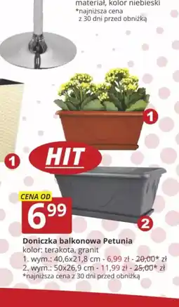 Prymus-AGD Doniczka balkonowa Petunia oferta