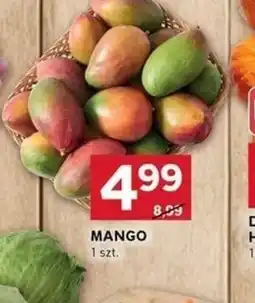 Stokrotka Optima Mango oferta