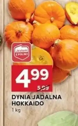 Stokrotka Optima Dynia jadalna Hokkaido oferta