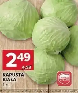 Stokrotka Optima Kapusta biała oferta