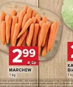 Stokrotka Optima Marchew oferta