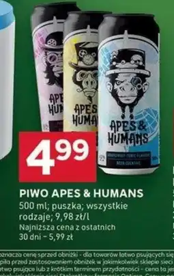 Stokrotka Optima Piwo Apes & Humans oferta