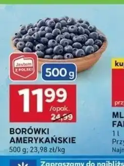 Stokrotka Optima Borówki amerykańskie oferta