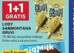 Stokrotka Optima Lody Sammontana Gruvi oferta