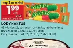 Stokrotka Optima Lody Kaktus oferta