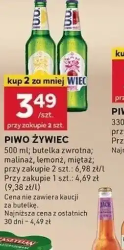 Stokrotka Optima Piwo Zywiec oferta