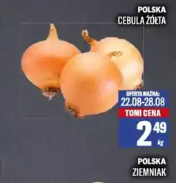 TomiMarkt Cebula żółta oferta