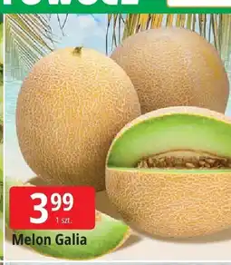E.Leclerc Melon Galia Leclerc oferta