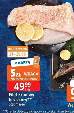E.Leclerc Filet z mołwy bez skóry Scapmaree oferta