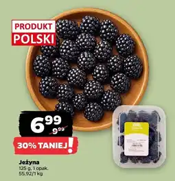 Netto Jeżyna Netto oferta