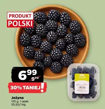 Netto Jeżyna Netto oferta