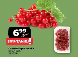 Netto Czerwona porzeczka Netto oferta