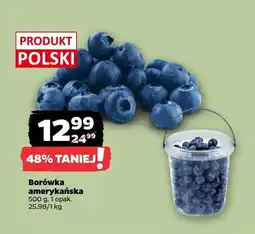 Netto Borówka amerykańska Netto oferta
