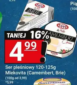 Hitpol Ser pleśniowy Mlekovita Camembert 120g oferta