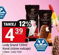 Hitpol Lody Grand Koral oferta