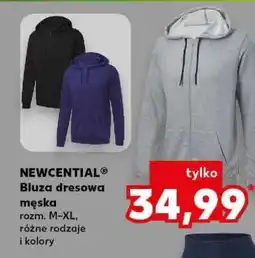 Kaufland NEWCENTIAL Bluza dresowa męska oferta