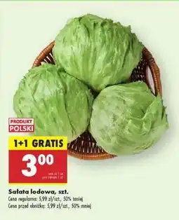 Biedronka Sałata lodowa szt oferta