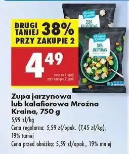 Biedronka Zupa jarzynowa lub kalafiorowa Mroźna Kraina , 750 g oferta