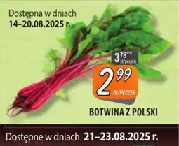Społem Szczecin Botwina z Polski oferta