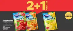 Netto Galaretka borówkowa Gellwe oferta