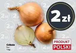 Netto Cebula żółta polska oferta