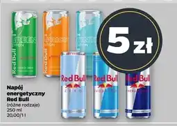 Netto Napój mroźna waniliowa jagoda Red Bull The Winter Edition oferta