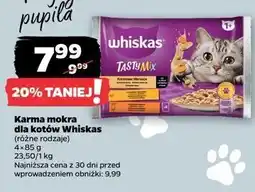 Netto Karma dla kota kremowe wariacje Whiskas Tasty Mix oferta