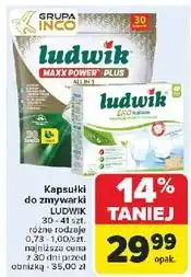 Carrefour Tabletki do zmywarki ekologiczne Ludwik oferta