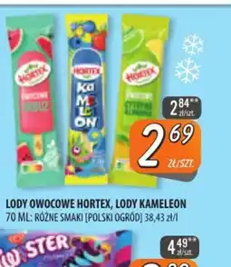 Społem Szczecin Lody owocowe Hortex, lody Kameleon oferta