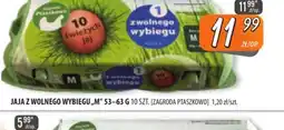 Społem Szczecin Jaja z wolnego wybiegu oferta