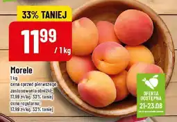 Polomarket Morele POLOmarket oferta